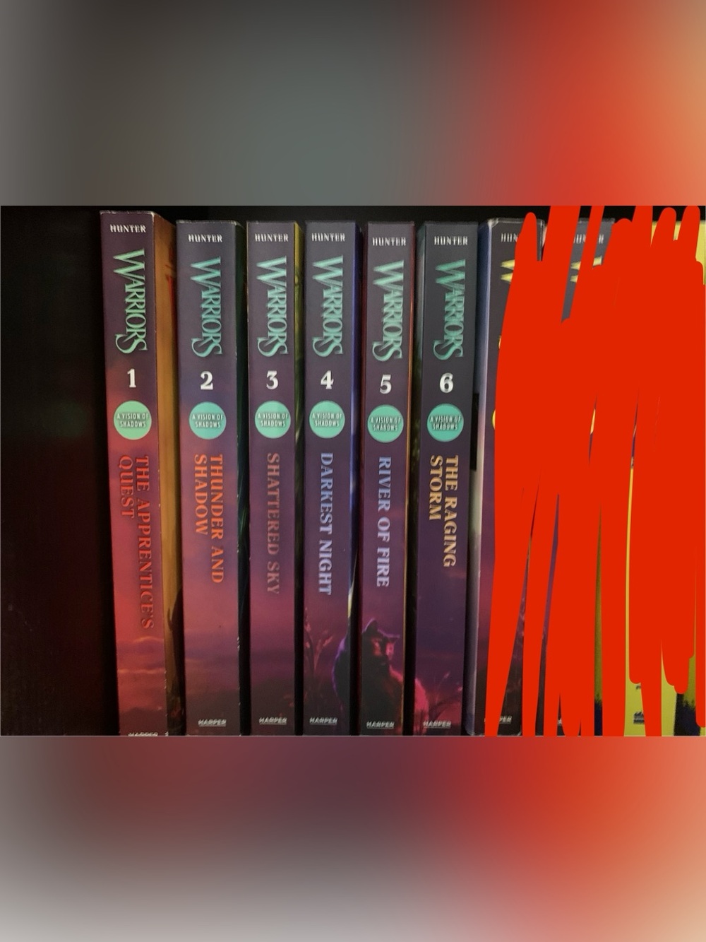 Warrior Cats Series 5 A Vision Of Shadows